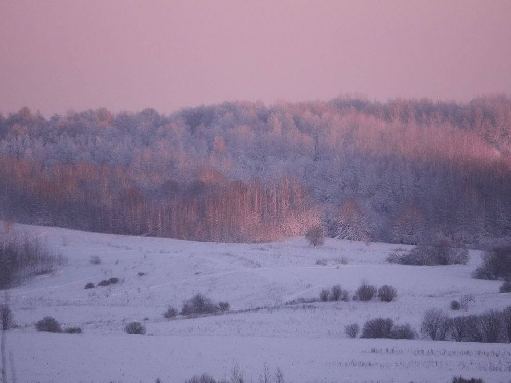 Photo #13066209