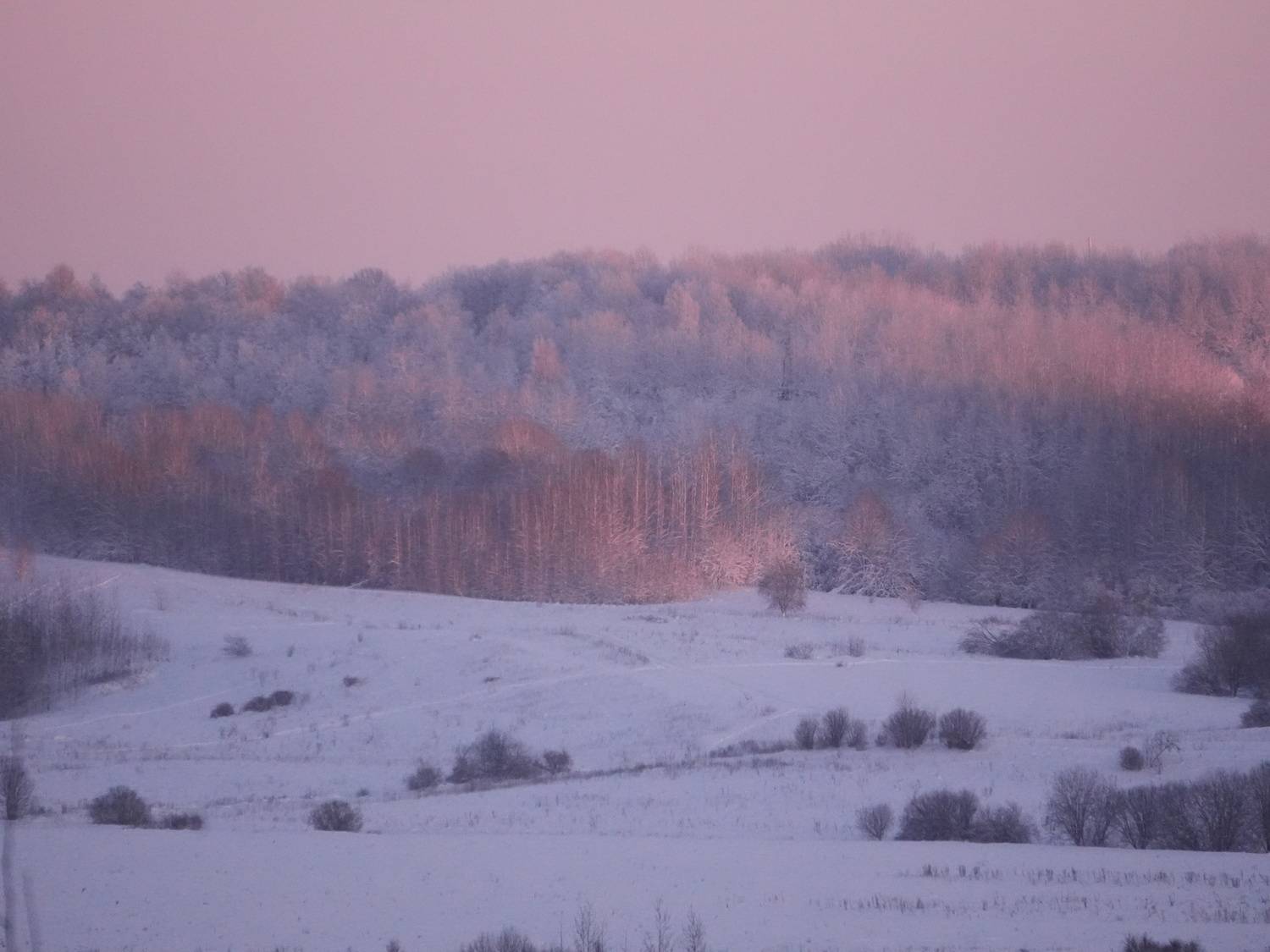 Photo #13066209