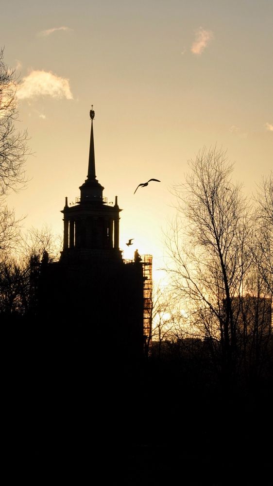 Фотография автора Юлия