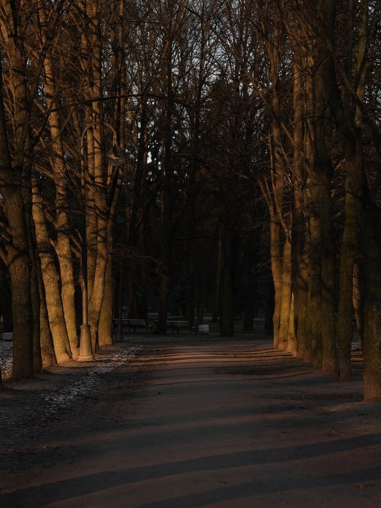 Фотография автора Юлия