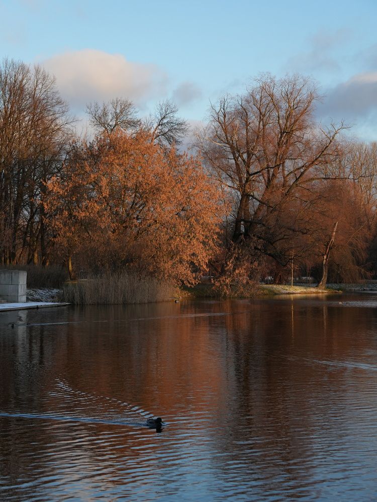 Фотография автора Юлия