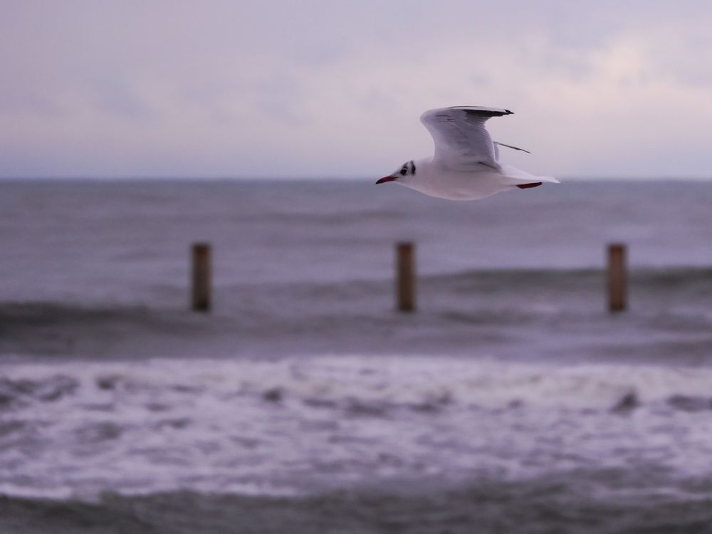 Photograph by Юлия Медведева