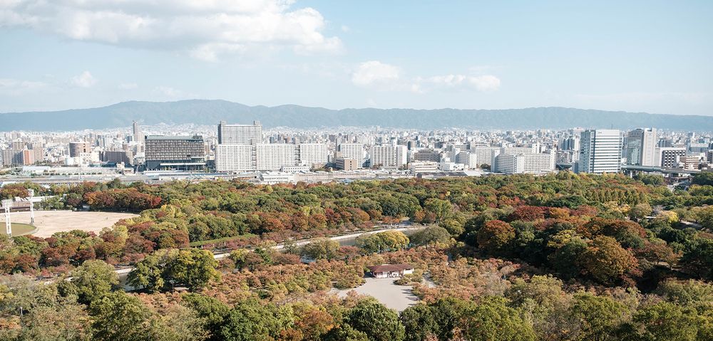 Photograph by Мария Гумарова