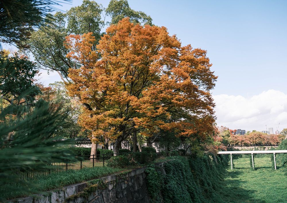 Photograph by Мария Гумарова