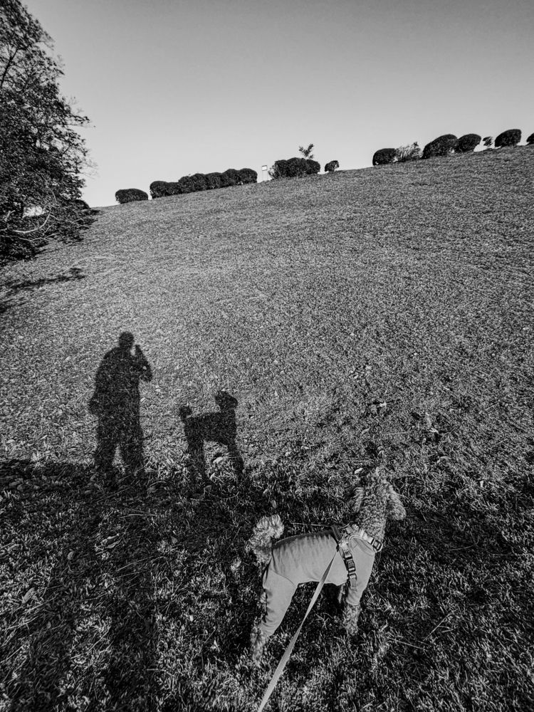 Фотография автора Mutsuaki