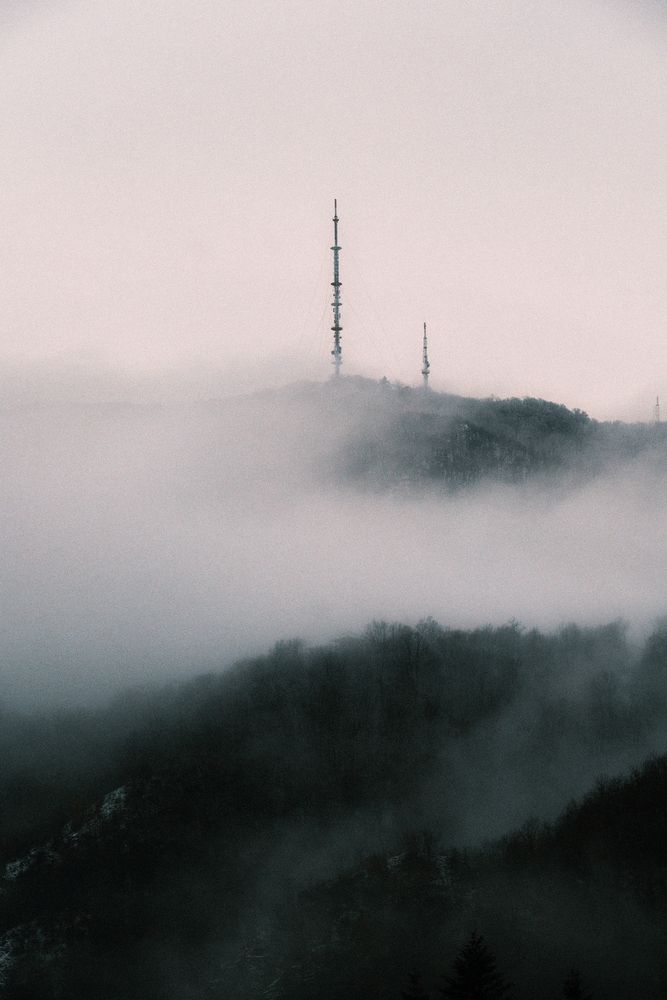 Photograph by Roman Vislobokov