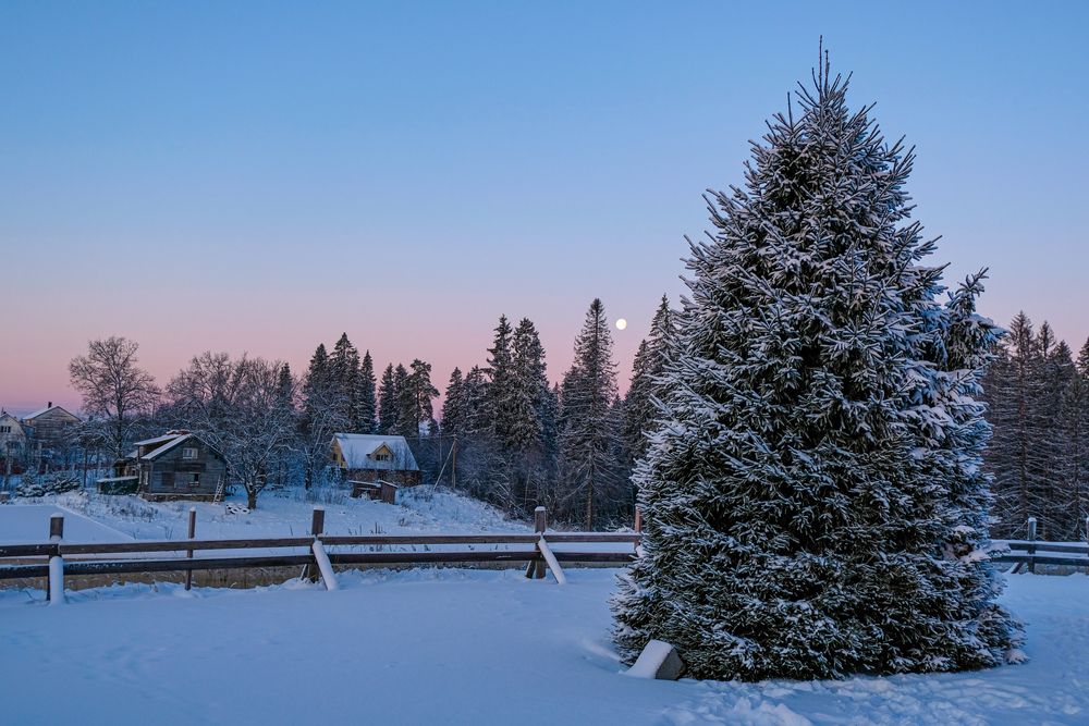 Photograph by Александр Малахов
