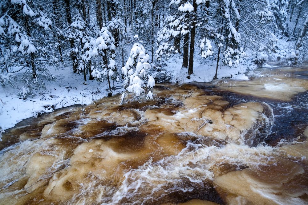 Photograph by Александр Малахов