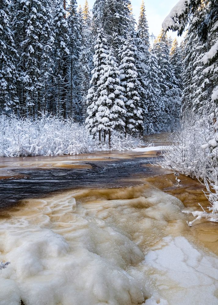 Photograph by Александр Малахов