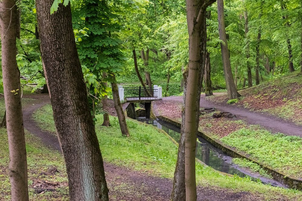 Photograph by Игорь Боголюбов