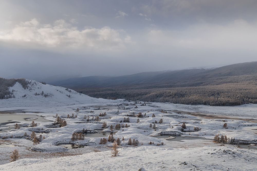 Фотография автора Морозов Сергей