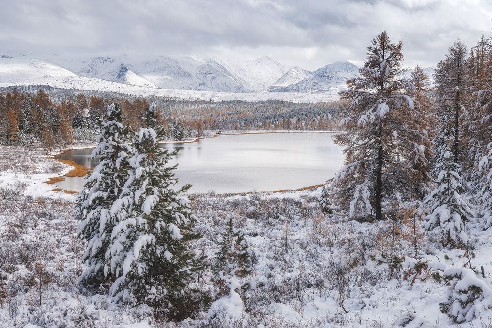 Фотография автора Морозов Сергей