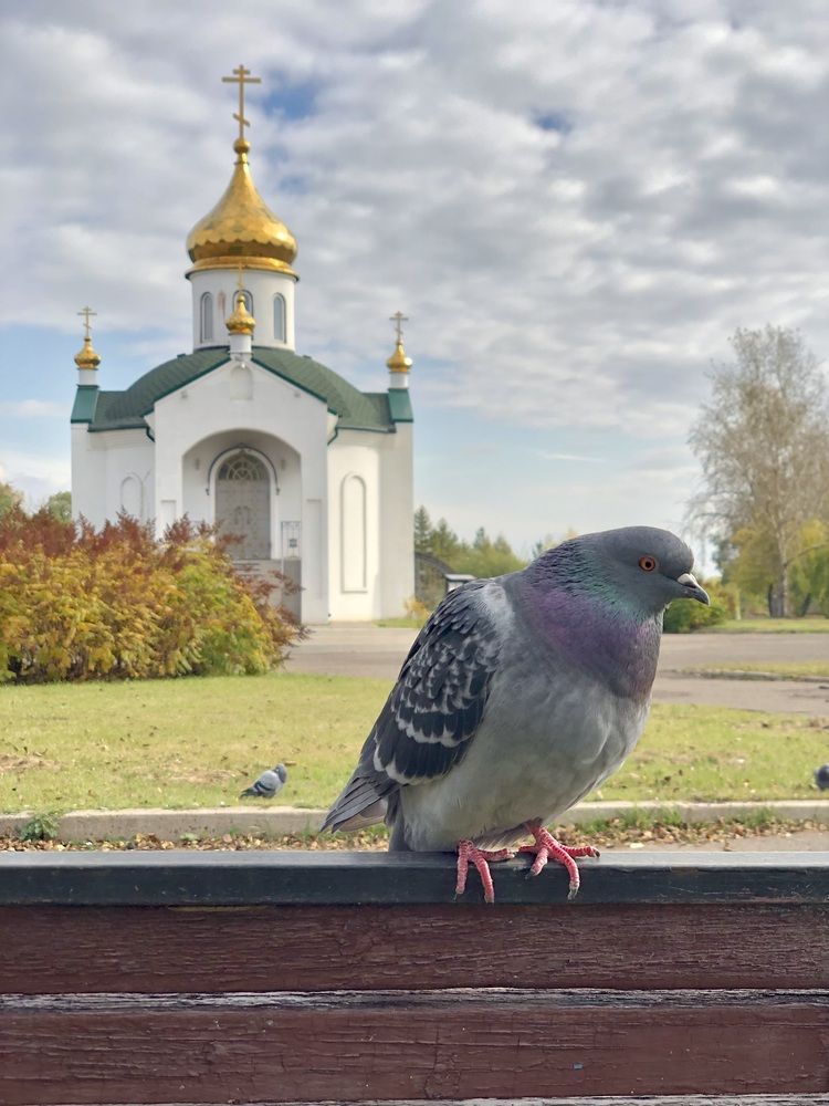 Photograph by Светлана Дмитриева