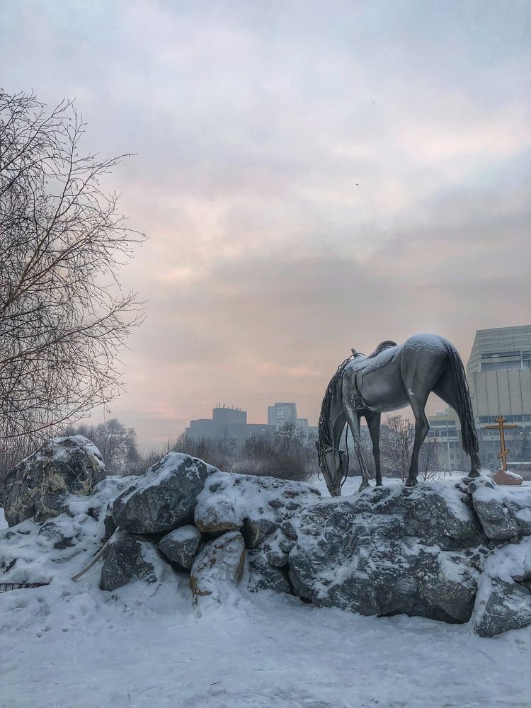 Photograph by Светлана Дмитриева