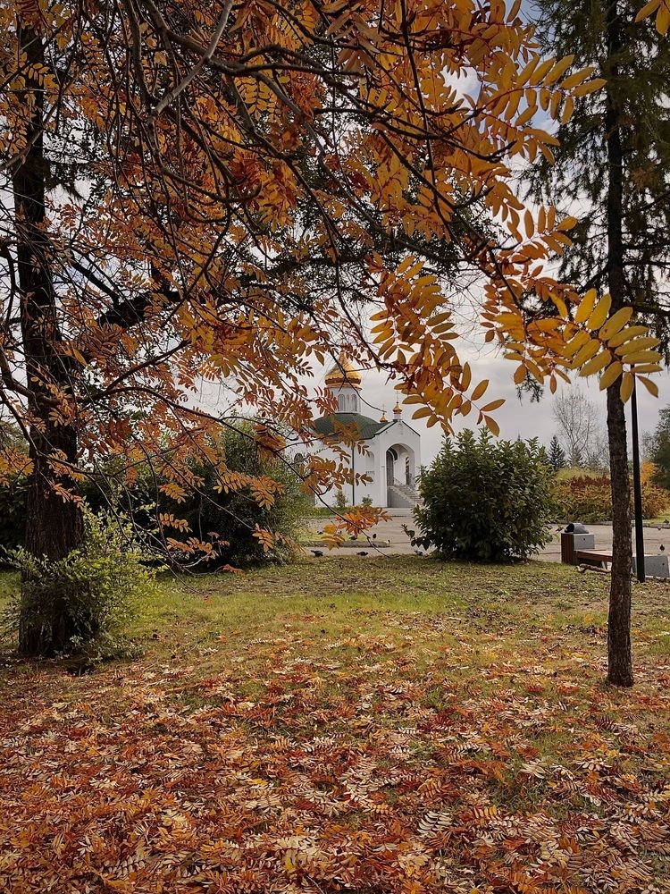 Photograph by Светлана Дмитриева