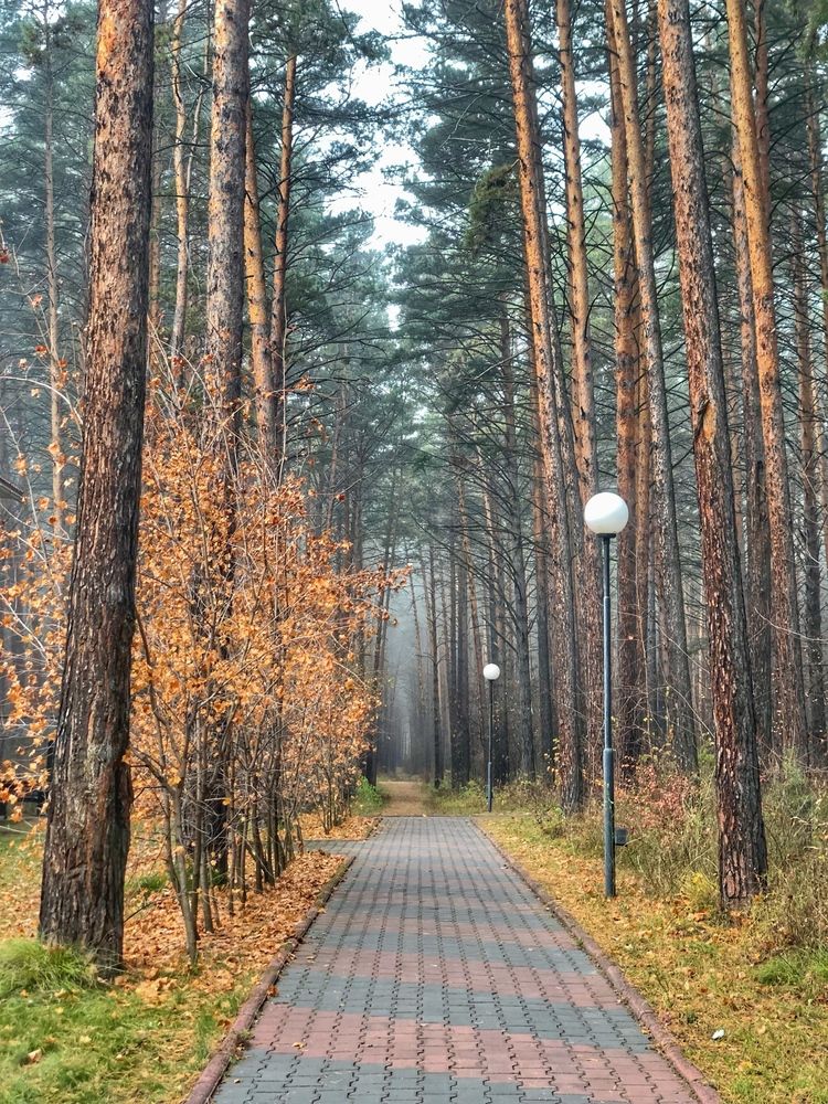 Photograph by Светлана Дмитриева