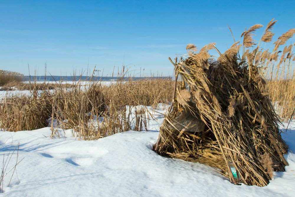 Photograph by Виталий Новиков