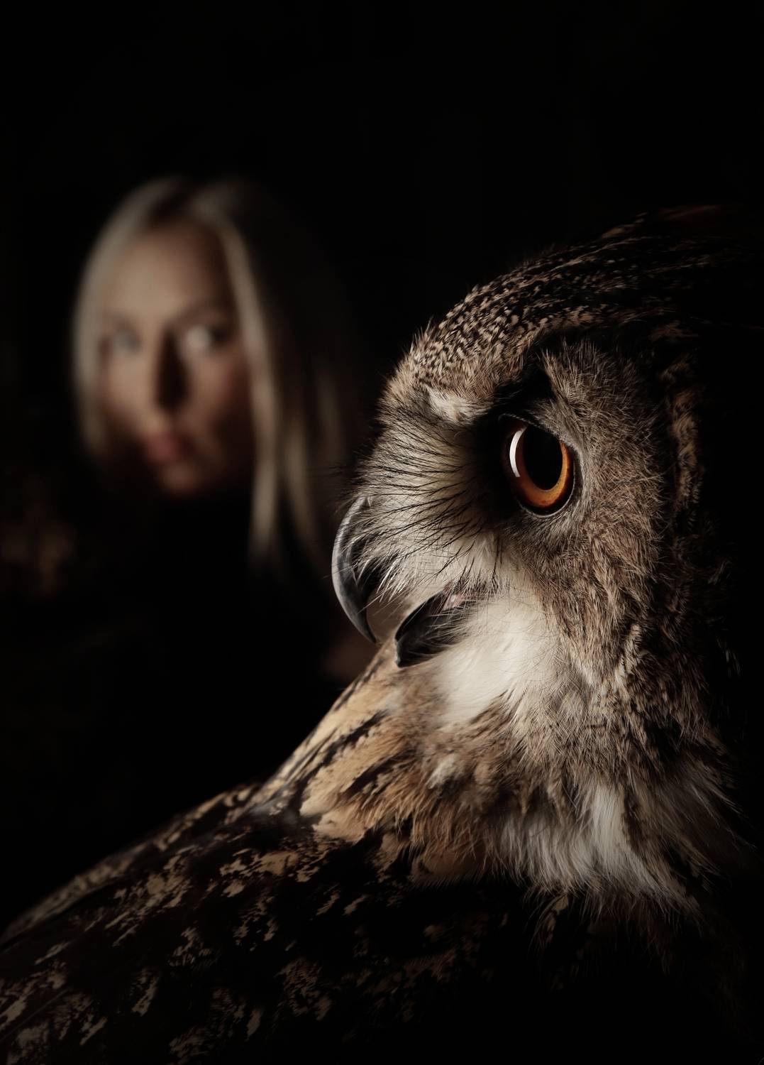 Фотография #13066455