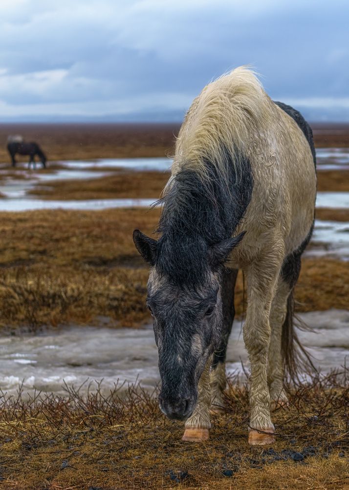 Фотография автора Евгений Шварцман