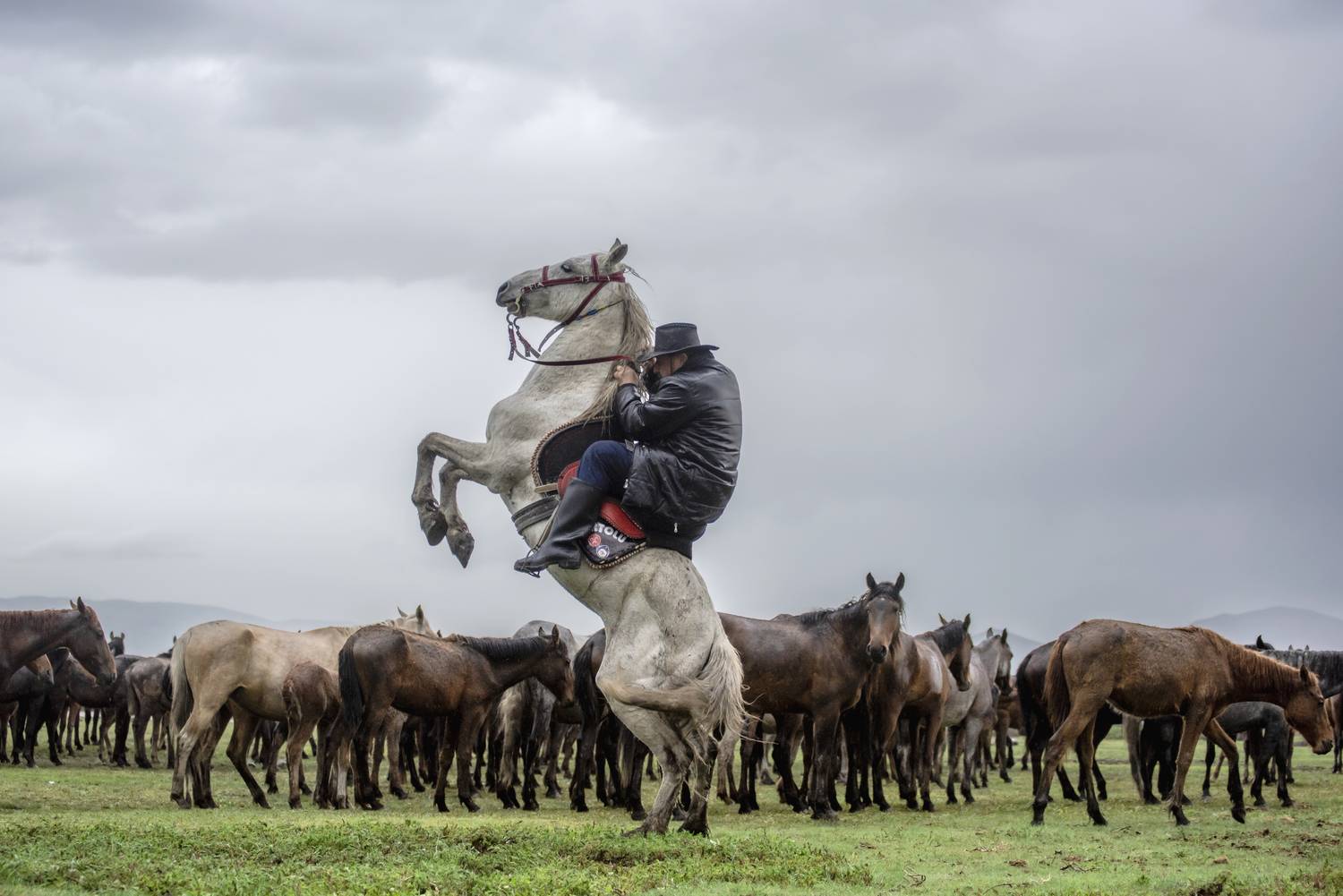 Фотография #13066488