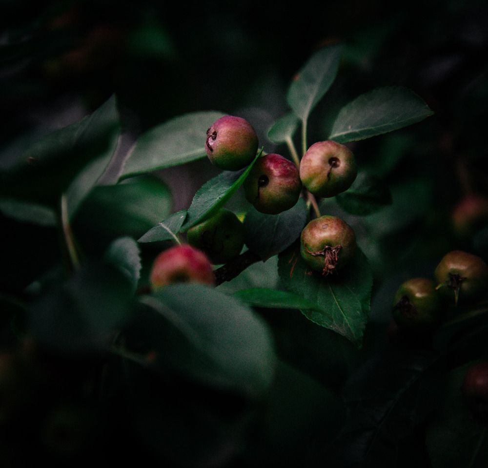 Фотография автора Червяков Григорий