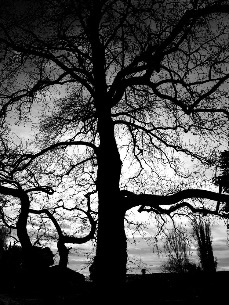 Фотография автора Sotiris Makrygiannis