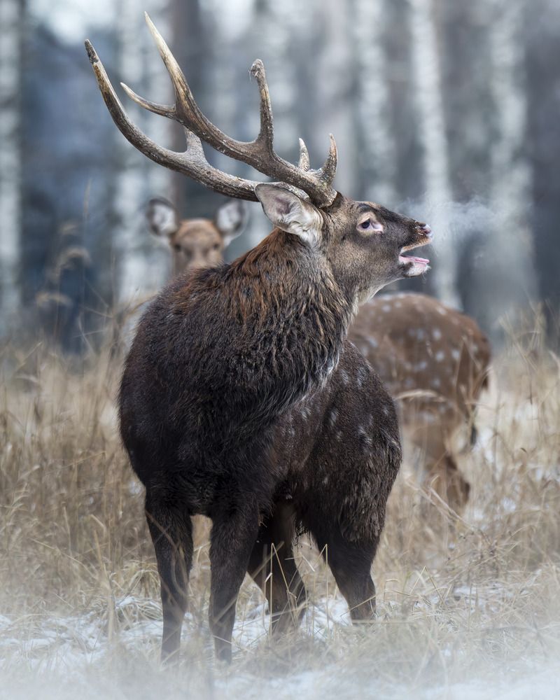 Photograph by Поляков Михаил