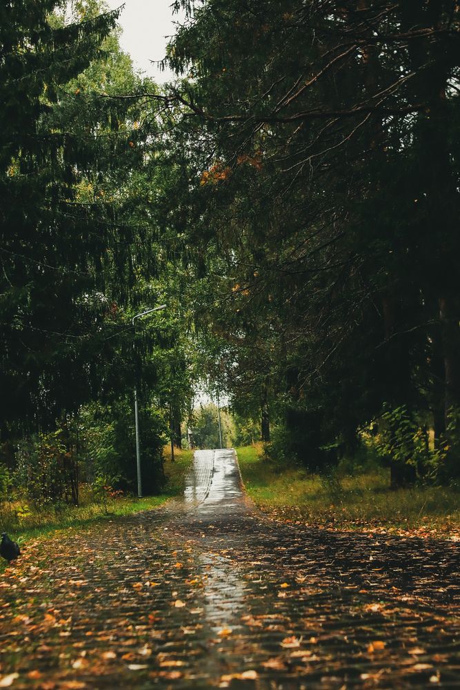 Photograph by Евгения Суслова