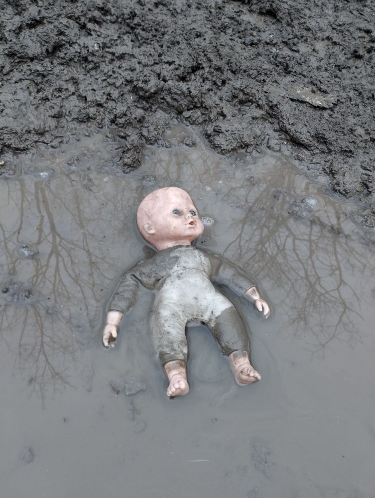 Photo #13066574