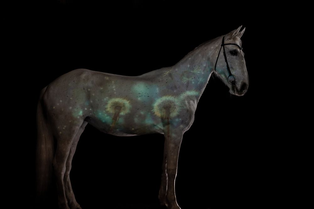 Фотография автора Мария Анатольевна Кузовлева