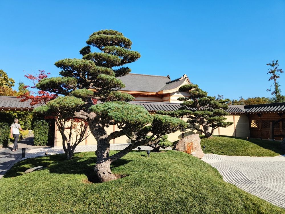 Photograph by Владимир Сптридонов