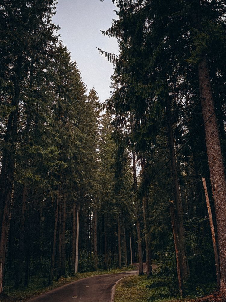 Photograph by Марина Харитонова