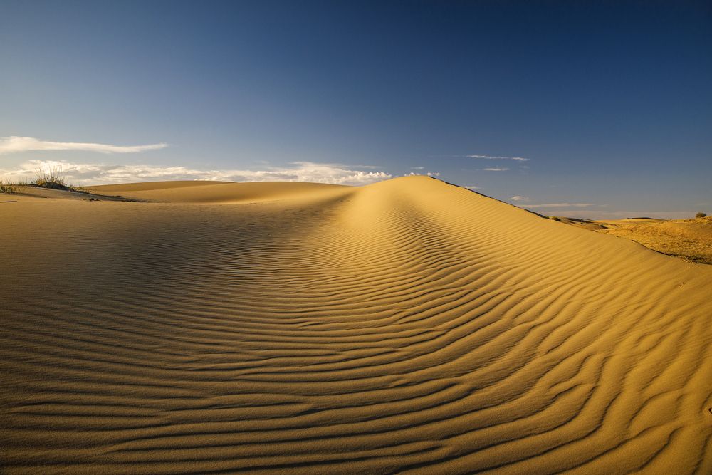 Photograph by Дмитрий Юдин