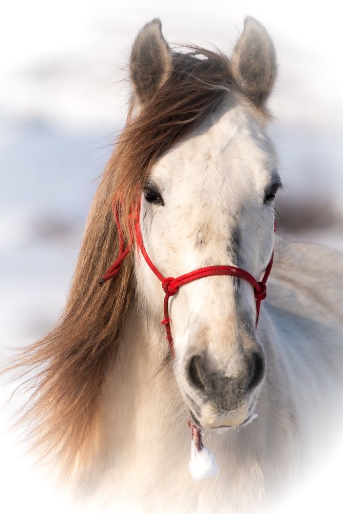 Photograph by Alin Bicas