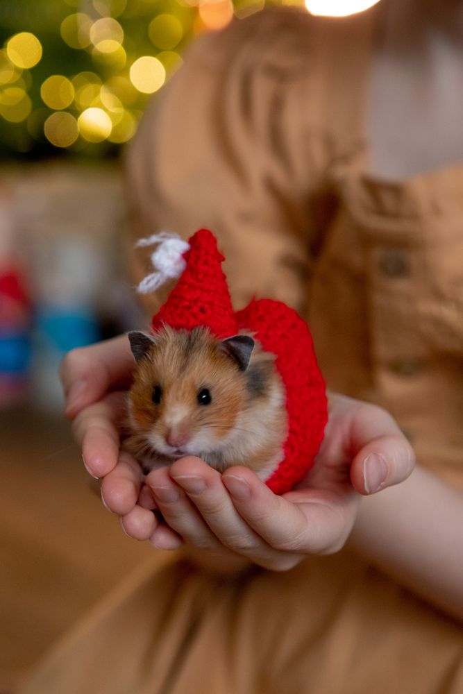 Photograph by Наталья Мотрий