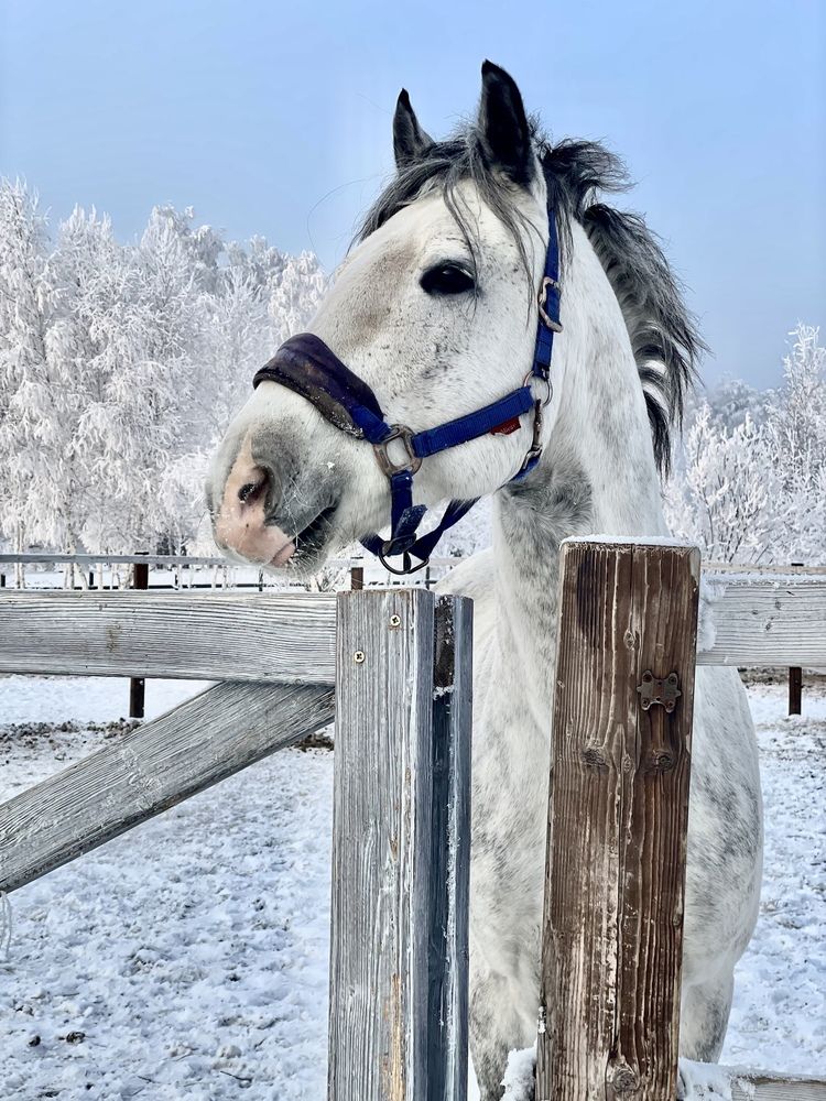 Photograph by Светлана Петренко