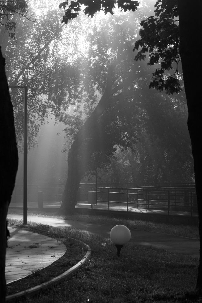 Photograph by Дмитрий Костяков