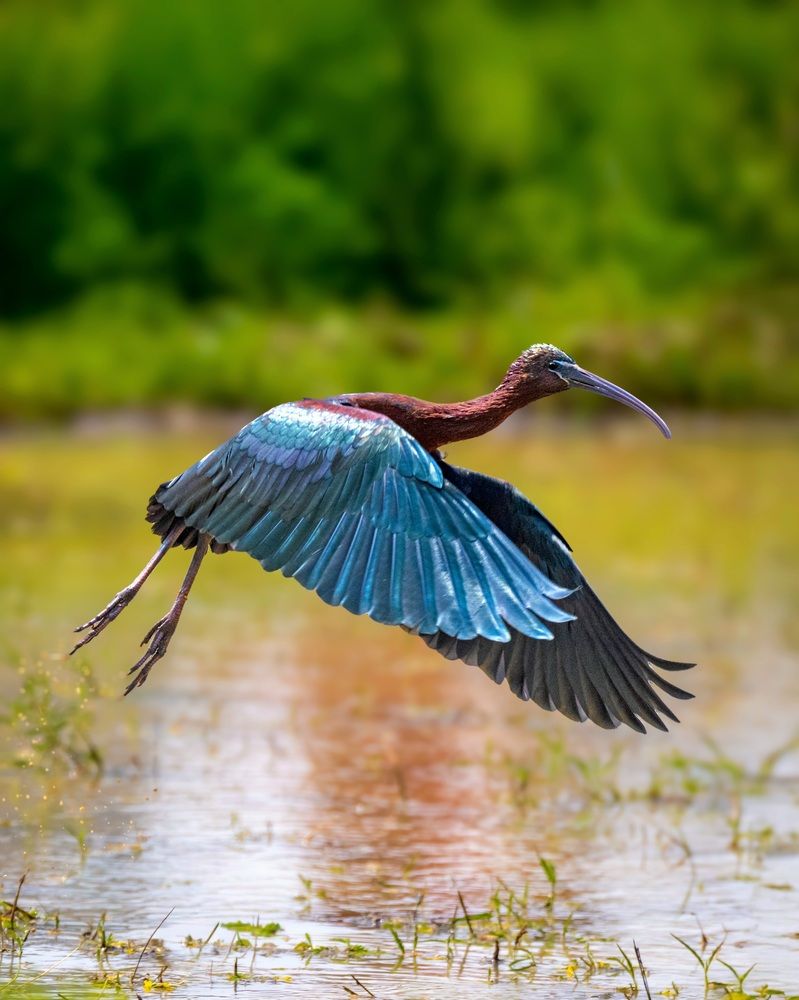 Photograph by Aaron R S