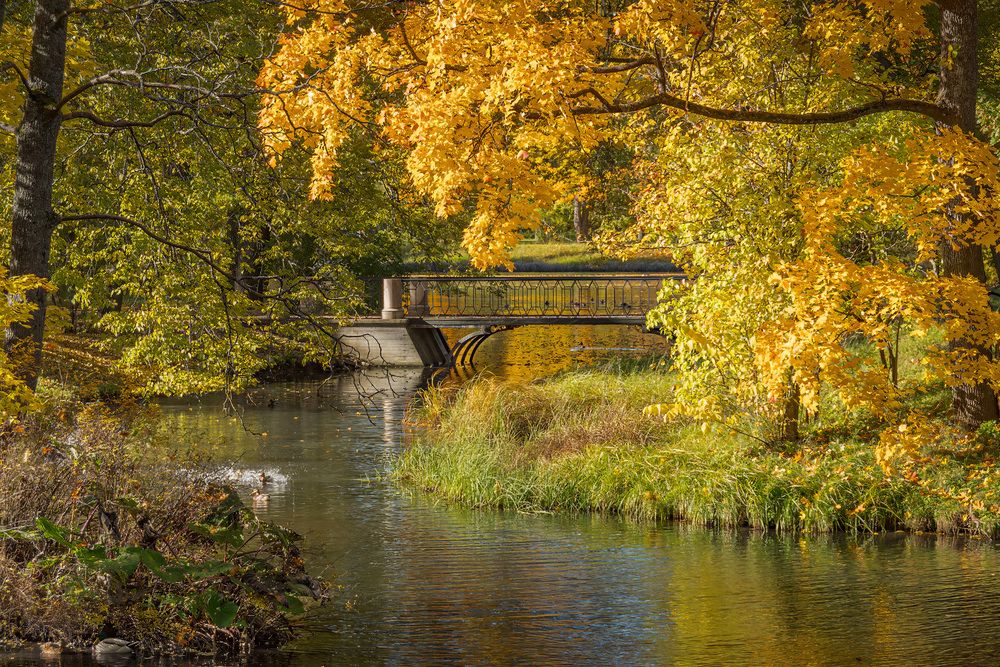 Фотография автора Алексей Козлов