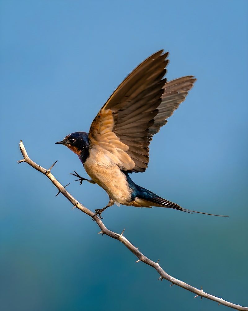 Photograph by Aaron R S