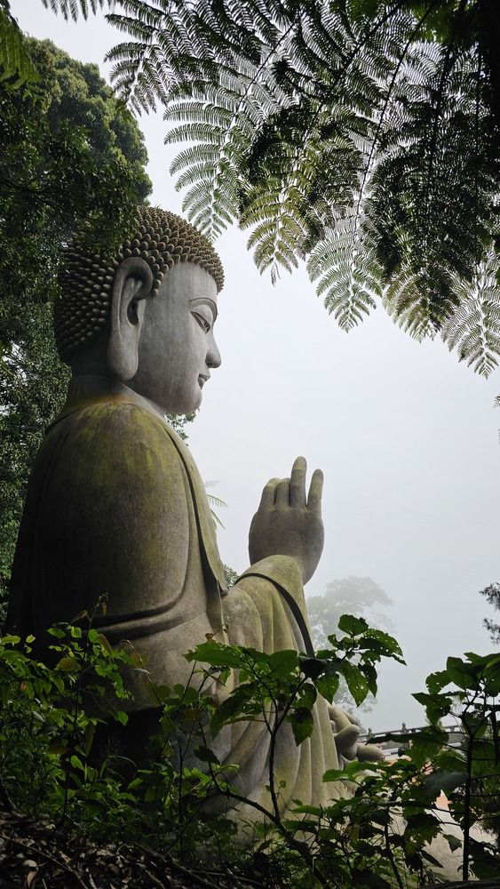 Photograph by Вадим Богатиков