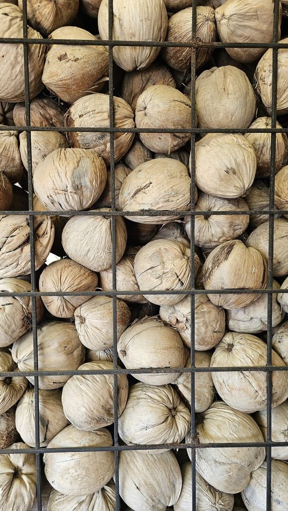 Photograph by Вадим Богатиков