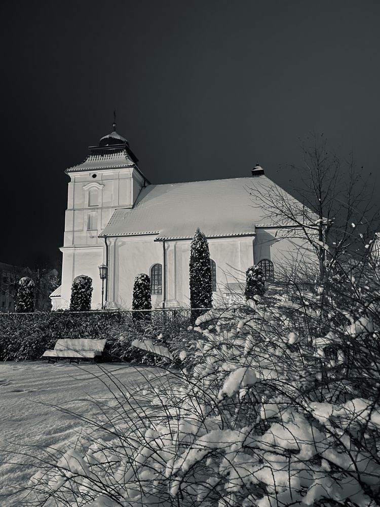 Photograph by Светлана Савина