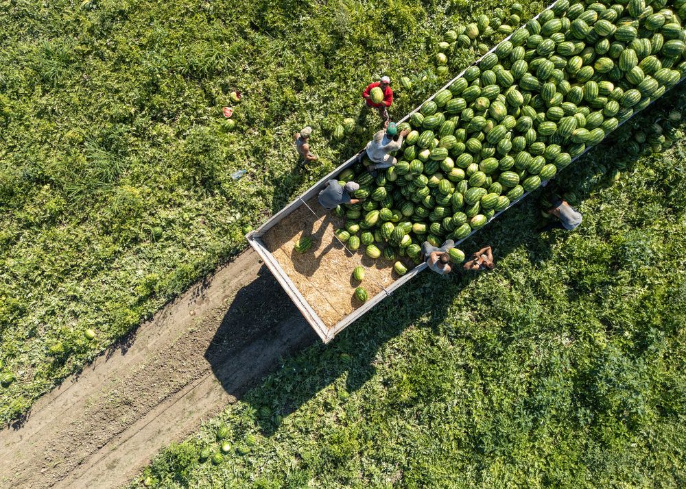 Photograph by Muhammet Musab GÜMÜŞ