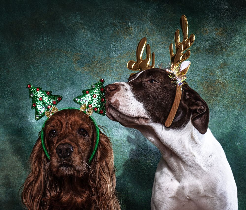 Фотография автора Victoria Mogulyan