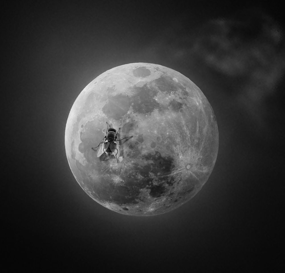 Photograph by Алексей Козлов