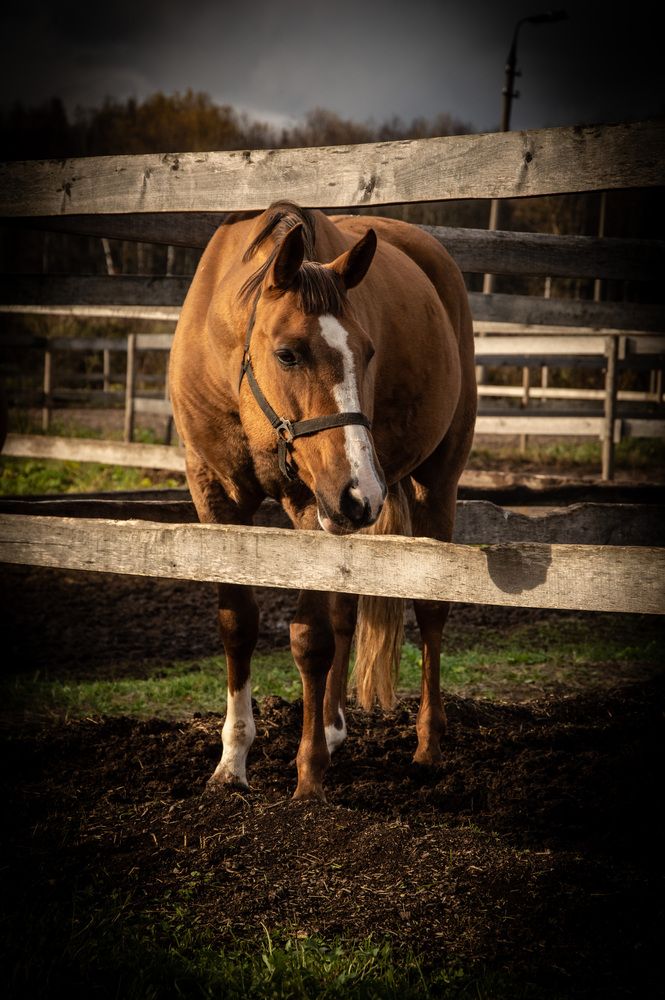 Photograph by Митюрникова Юлия