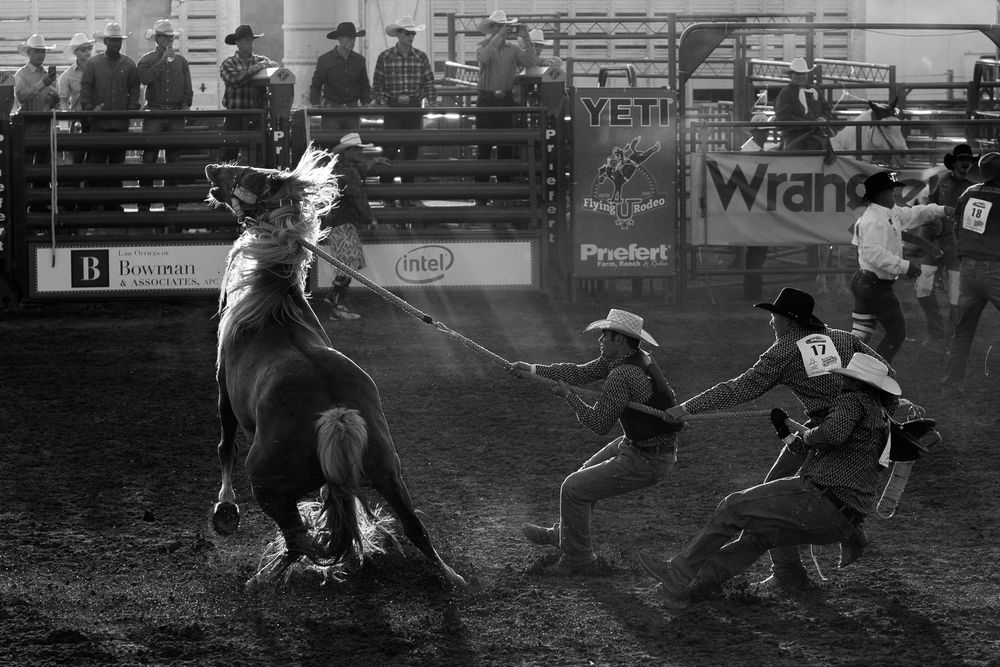 Непокорный