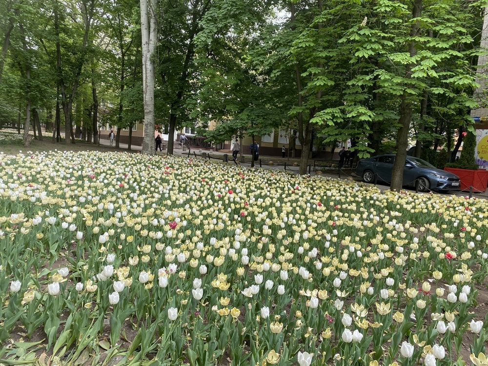 Photograph by Сергей Смирнов