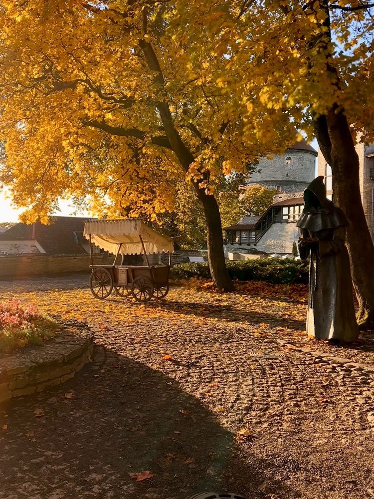 Фотография автора Veronika Lemke